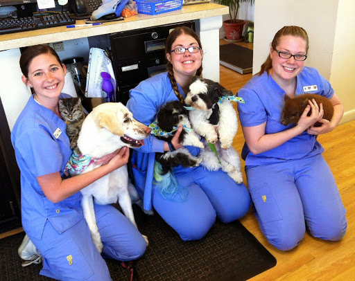 Stow Kent Animal Hospital image