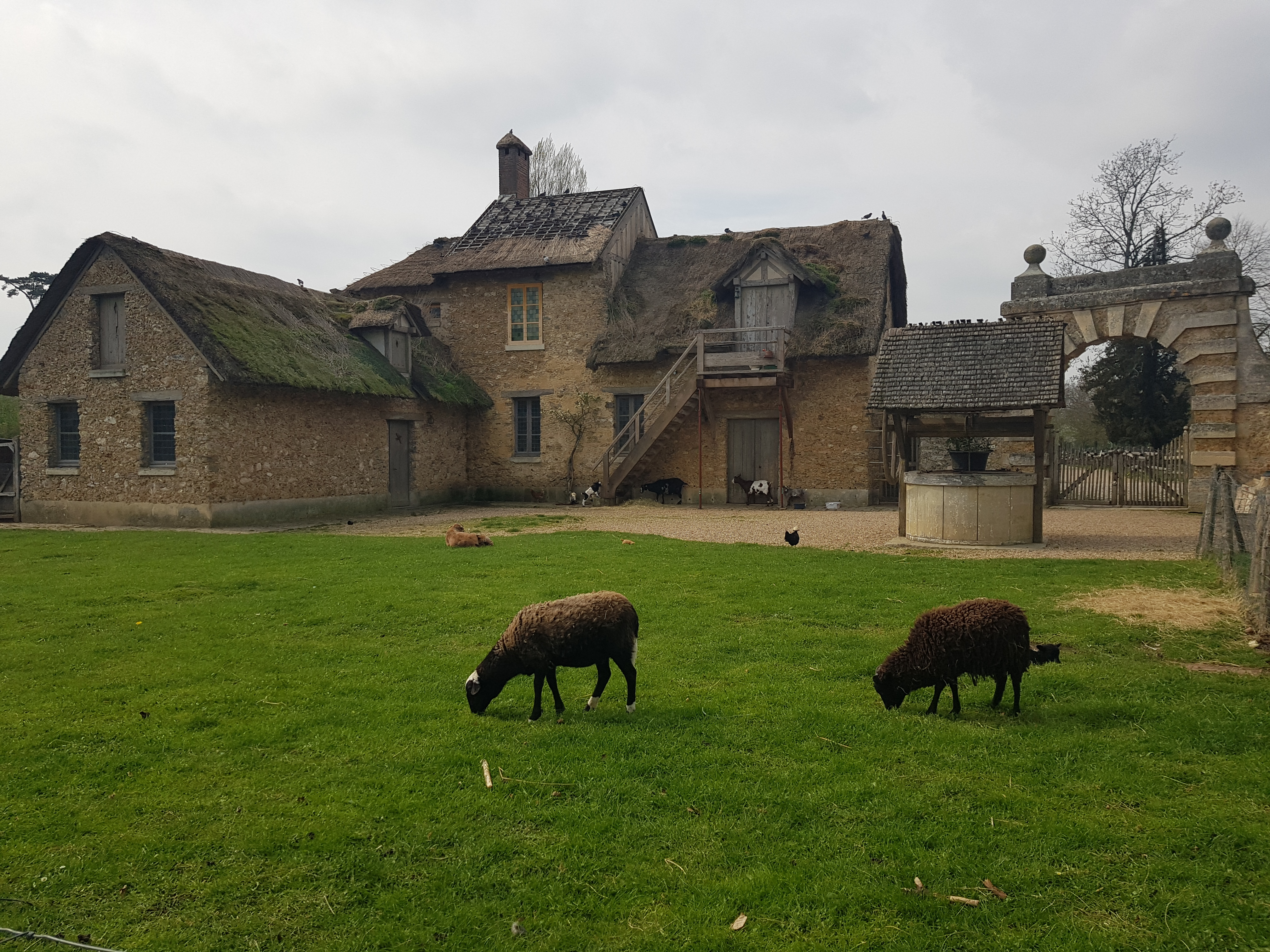 Photo n° 1 de l'avis de Francesca.a fait le 29/04/2019 à 12:25