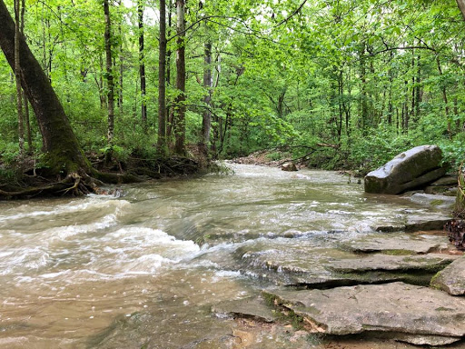 Monte Sano Nature Preserve (Cleermont Trailhead)