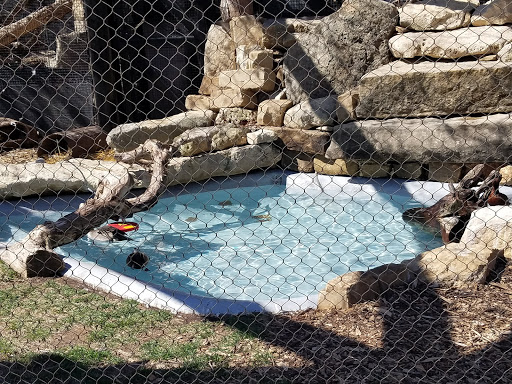Zoo «Kansas Wildlife Exhibit», reviews and photos, 600-630 Nims N, Wichita, KS 67203, USA