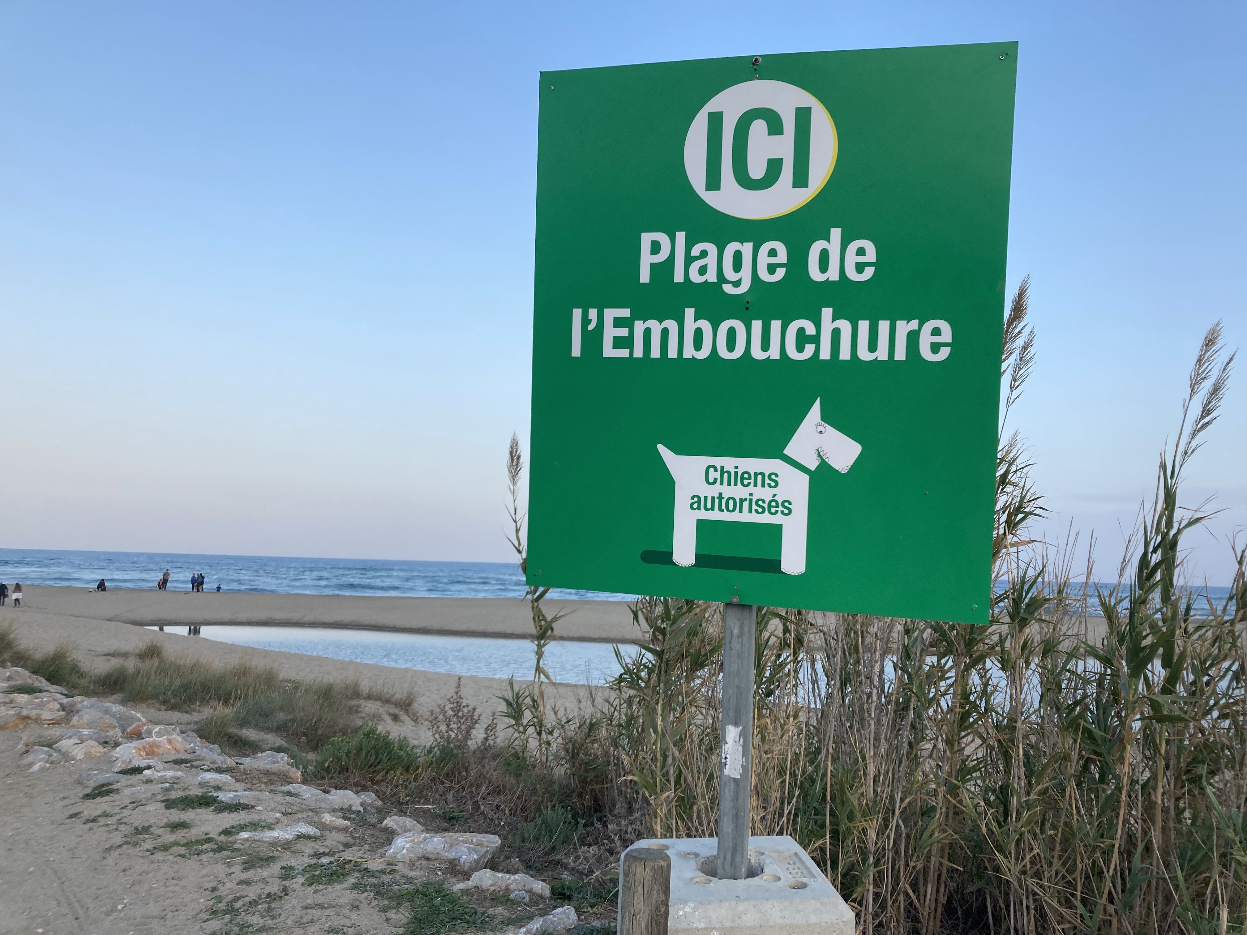 Photo n° 3 de l'avis de Piotr. fait le 24/10/2021 à 19:34