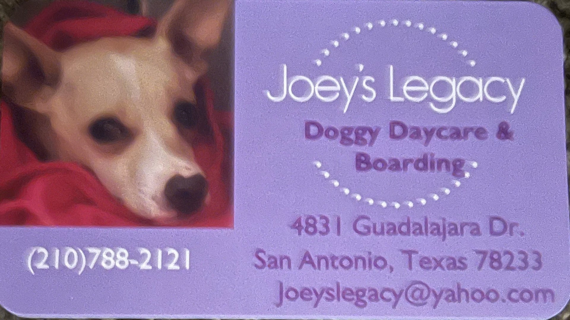 Joeys Legacy Doggie Daycare & Boarding