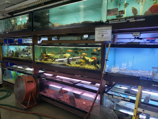 Pet Store «Forest Lake Pets», reviews and photos, 120 Lake St N, Forest Lake, MN 55025, USA