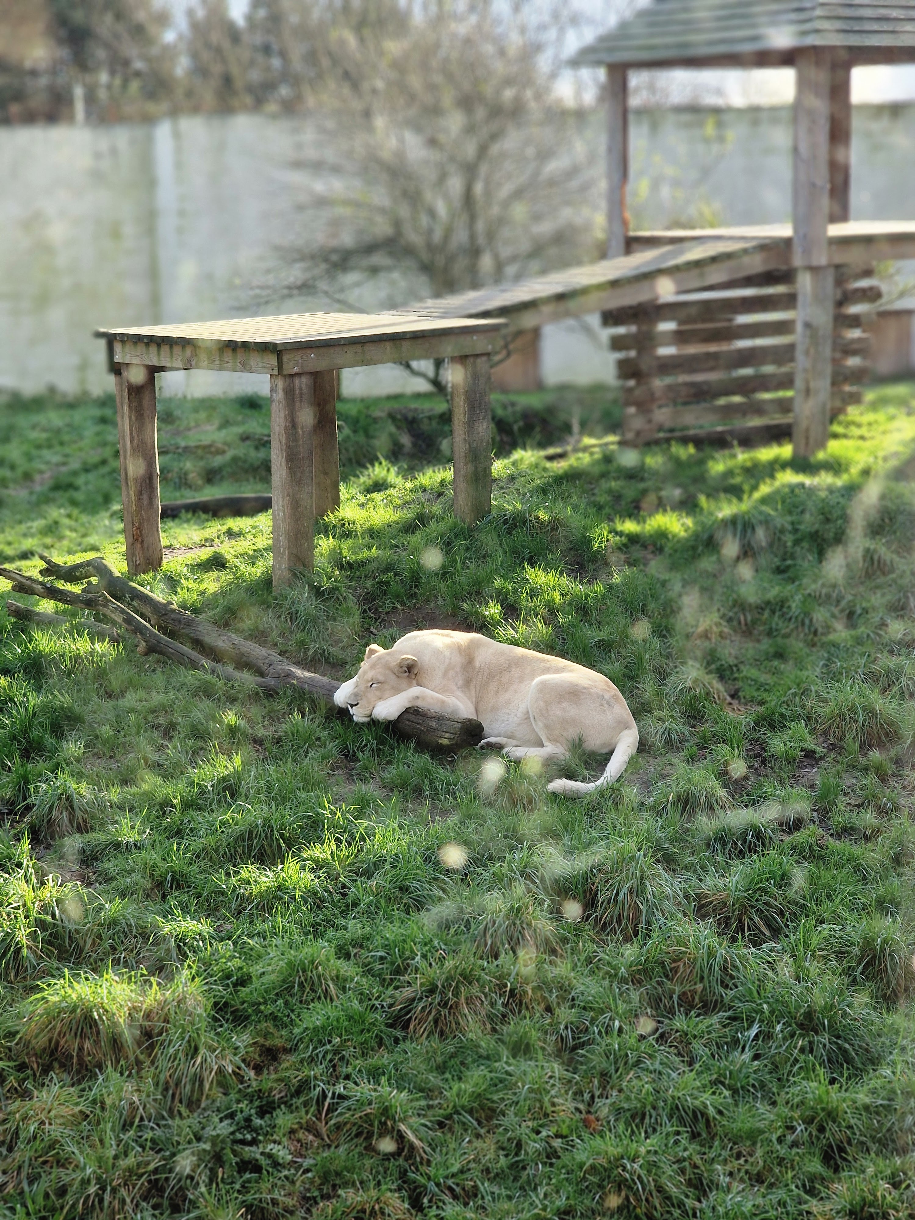 Photo n° 4 de l'avis de barre.y fait le 05/01/2024 à 20:47