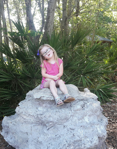 Park «Baybridge Park», reviews and photos, 10020 Bridgeton Dr, Westchase, FL 33626, USA