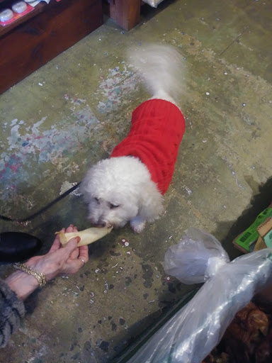 Pet Supply Store «Felton Feed & Pet Supply», reviews and photos, 6221 CA-9, Felton, CA 95018, USA