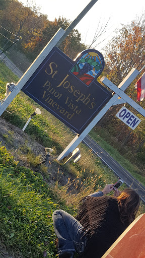 Winery «Saint Joseph Vineyard - Pinot Vista Tasting Room», reviews and photos, 7882 Warner Rd, Madison, OH 44057, USA