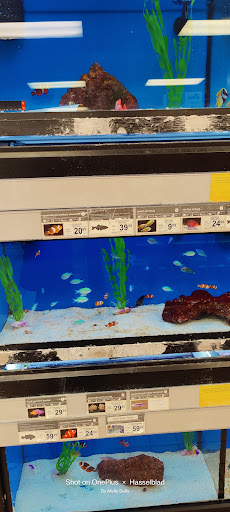 Pet Supply Store «Petco Animal Supplies», reviews and photos, 13691 Ridgedale Dr, Minnetonka, MN 55305, USA