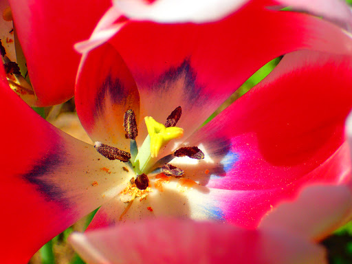 Place of Worship «The Grotto», reviews and photos, 8840 NE Skidmore St, Portland, OR 97220, USA