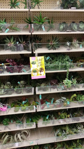 Craft Store «Hobby Lobby», reviews and photos, 6580 Lake Worth Blvd, Lake Worth, TX 76135, USA