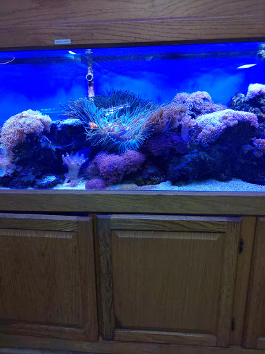 Tropical Fish Store «Monfort Aquarium & Pet», reviews and photos, 6520 Colerain Ave, Cincinnati, OH 45239, USA