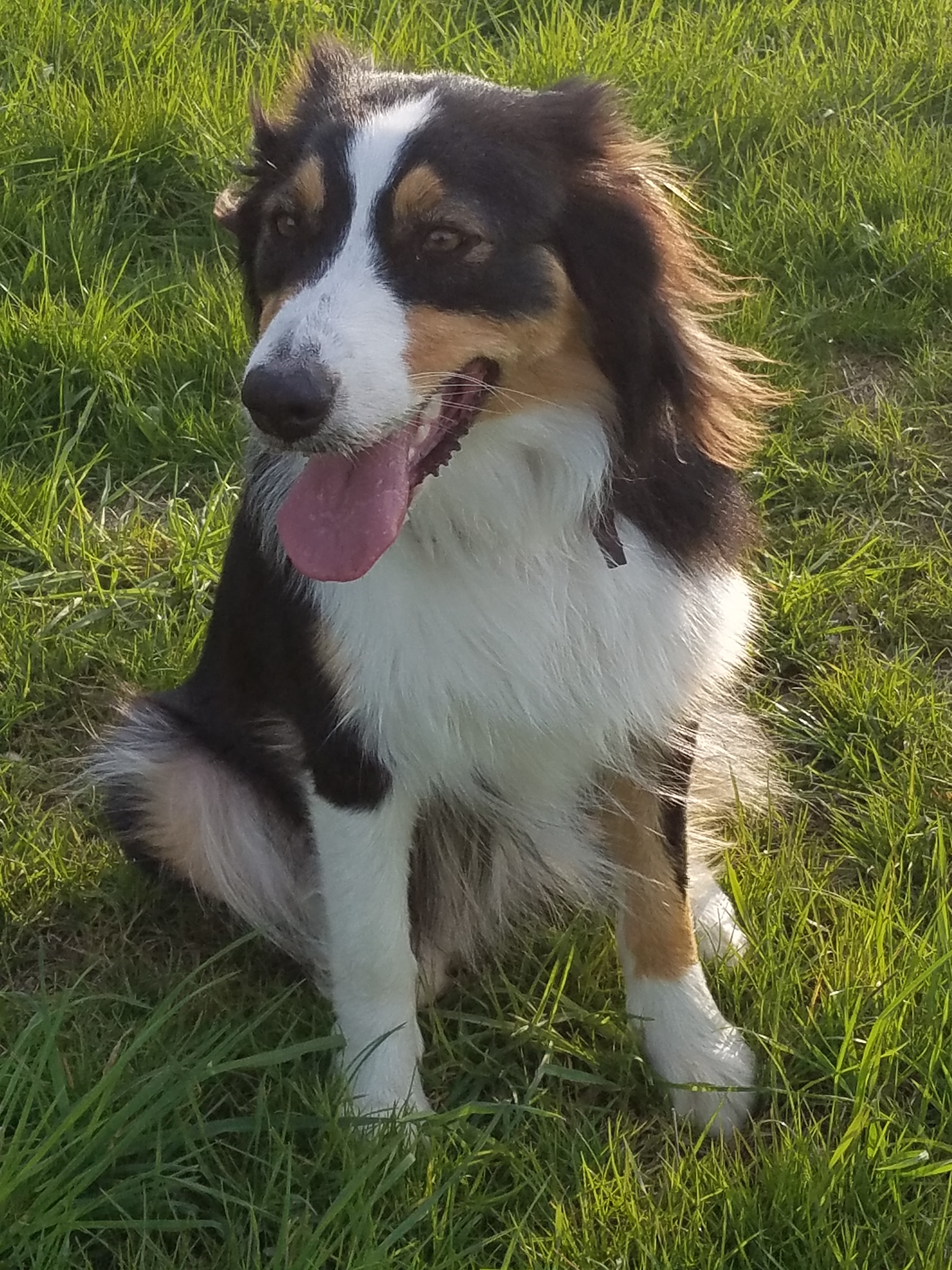 Photo n° 1 de l'avis de thierry.a fait le 30/05/2019 à 08:38