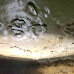 Photo n° 1 de l'avis de Guillaume.l fait le 14/05/2023 à 05:37 pour Grottes d'Arcy-sur-Cure à Arcy-sur-Cure