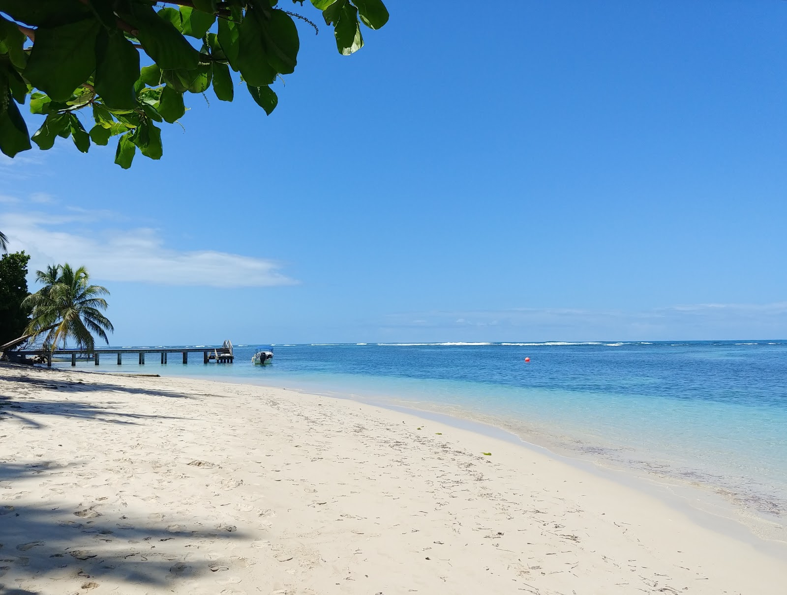 Φωτογραφία του Cayo Zapatilla Beach - δημοφιλές μέρος μεταξύ λάτρεις της χαλάρωσης