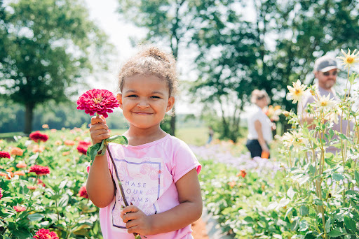 Pumpkin Patch «Liberty Mills Farm», reviews and photos, 9166 Liberty Mills Rd, Somerset, VA 22972, USA
