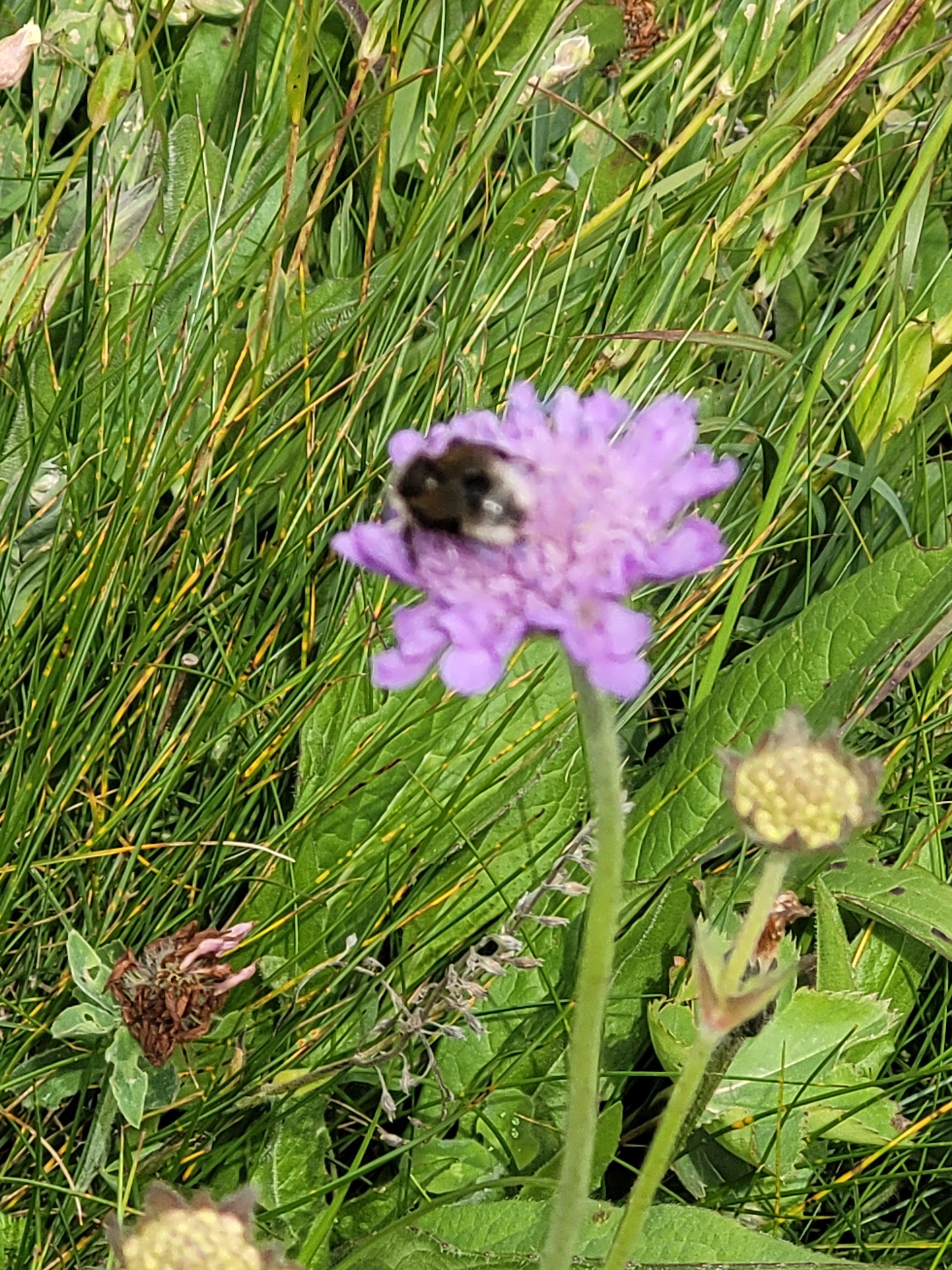 Photo n° 22 de l'avis de Anne.a fait le 26/07/2023 à 16:25