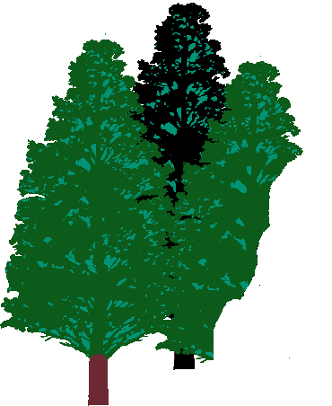 2245 Mt Hope Rd, Okemos, MI 48864, USA