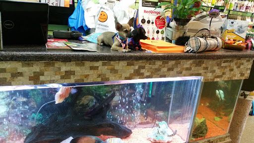 Tropical Fish Store «Caribbean Pets», reviews and photos, 298 Central Ave, Jersey City, NJ 07307, USA