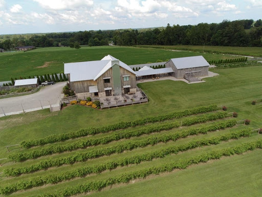 Winery «Farmer and Frenchman Winery», reviews and photos, 12522 US-41, Robards, KY 42452, USA