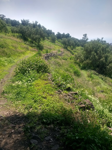 Reserva nacional Tlalnepantla de Baz