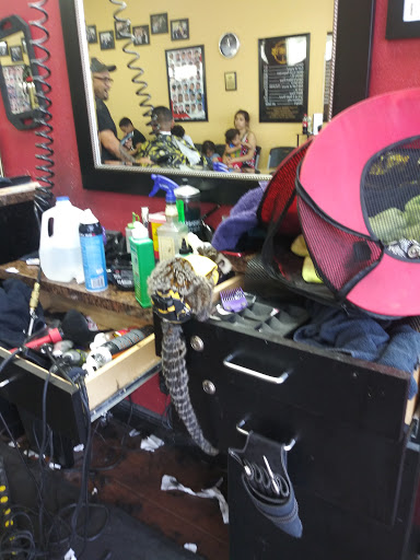 Barber Shop «Fade Masters Barbershop 2», reviews and photos, 11612 N Nebraska Ave, Tampa, FL 33612, USA