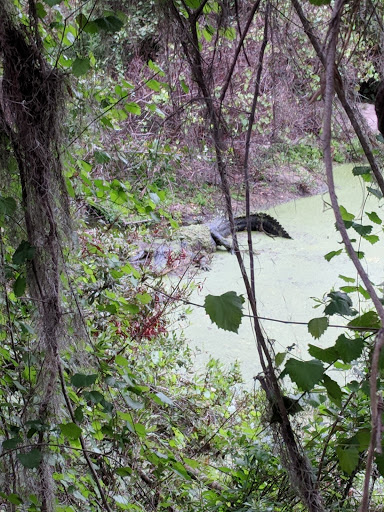 Recreation Center «Balm Park Recreation Center», reviews and photos, 14747 Balm Wimauma Rd, Wimauma, FL 33598, USA