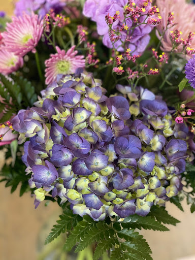 Florist «A Crooked Stem Flowers», reviews and photos, 237 E Plymouth Ave, DeLand, FL 32724, USA