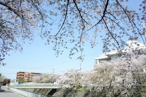 Uchida Park image