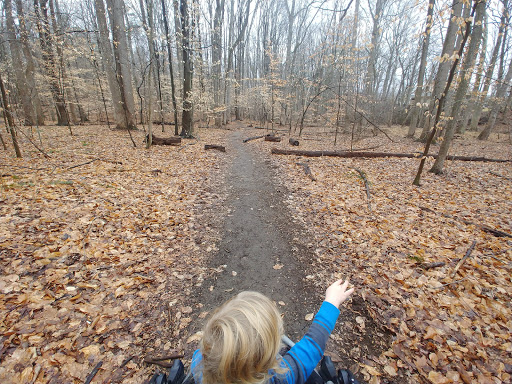 Park «Fairfax Villa Park», reviews and photos, 11399 Park Dr, Fairfax, VA 22030, USA