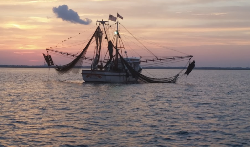 Tourist Attraction «Lighthouse Trolleys», reviews and photos, 559 Magnolia Ave, Saint Simons Island, GA 31522, USA