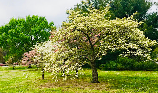 Lady Bird Johnson Park