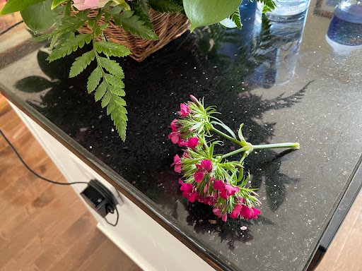 Florist «Open Blooms», reviews and photos, 4212 Technology Ct, Chantilly, VA 20151, USA