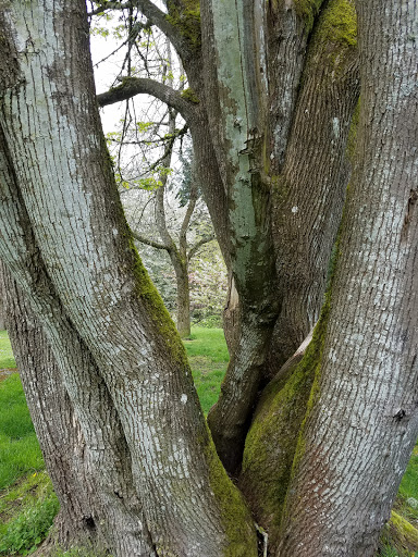 Park «Sacajawea Park», reviews and photos, 1401 S Dash Point Rd, Federal Way, WA 98003, USA