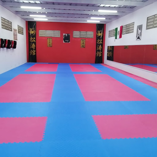 KARATE DOJO SHOTOKAN Y CENTRO TERAPÉUTICO