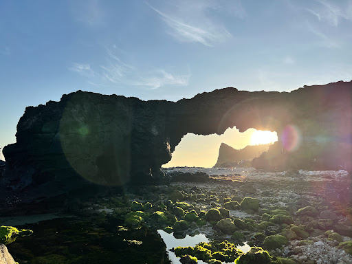 Top 20 cửa hàng akemi Huyện Lý Sơn Quảng Ngãi 2022