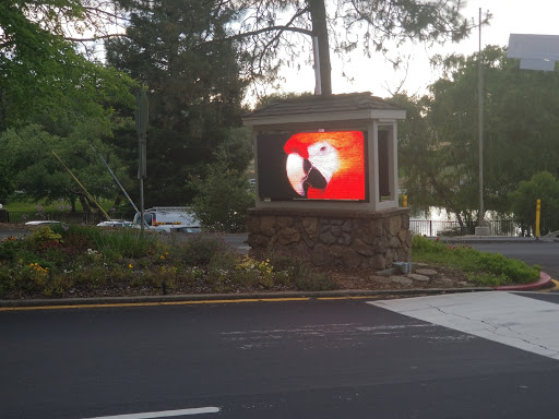 Hardware Store «Lake of The Pines Ace Hardware», reviews and photos, 10868 Combie Rd, Auburn, CA 95602, USA