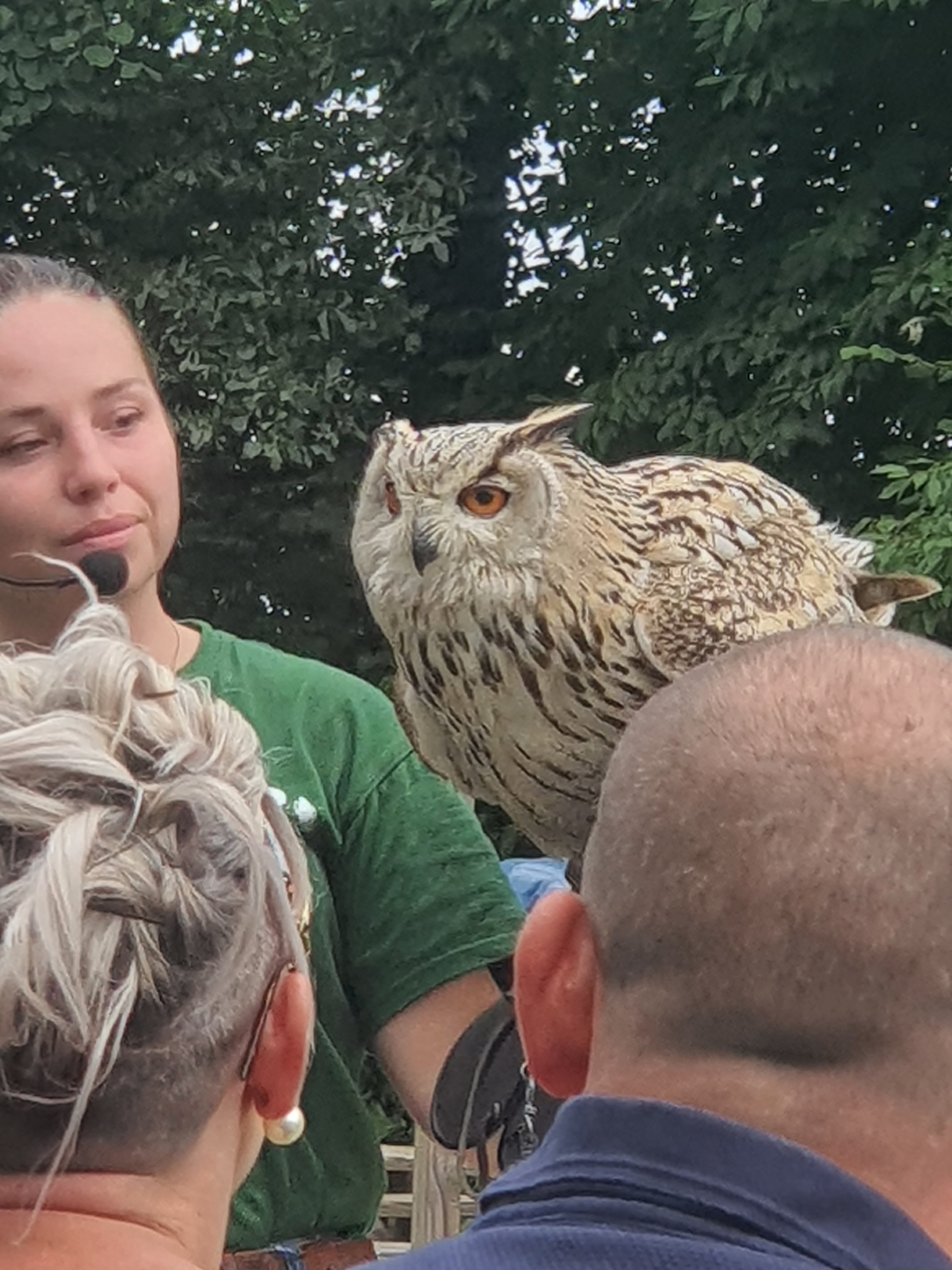 Photo n° 8 de l'avis de Mickael.e fait le 15/07/2023 à 13:18