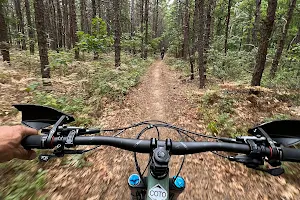 Rocky Point Mountain Bike Trail image