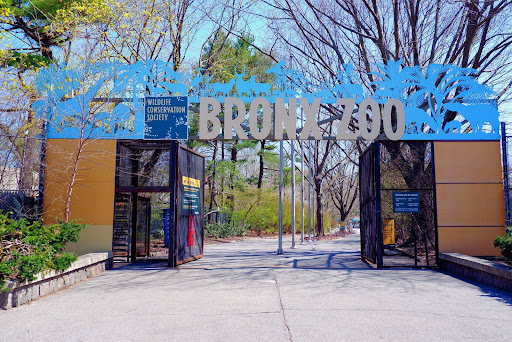 Bronx Tours in New York
