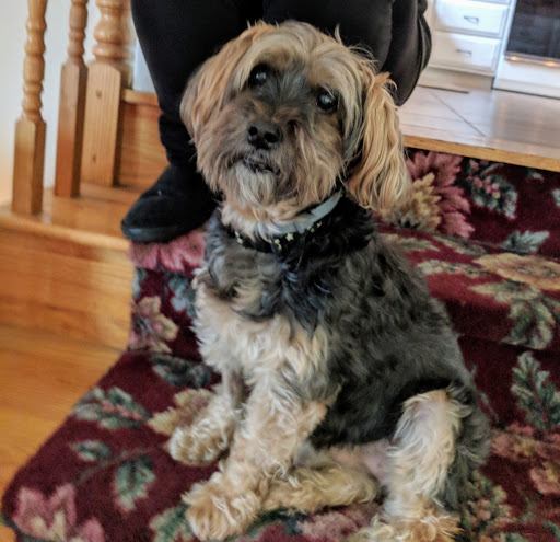 Pet Supply Store «PetSmart», reviews and photos, 70 Worcester-Providence Turnpike #240, Millbury, MA 01527, USA