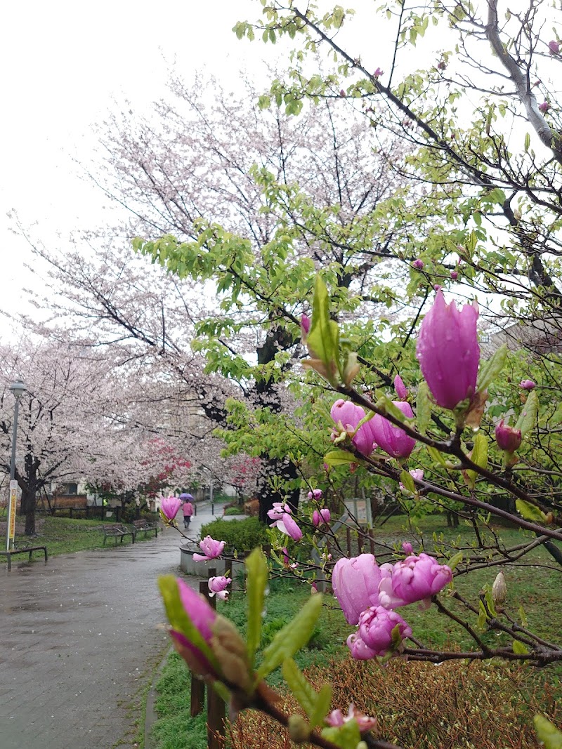 新宿区立富久さくら公園