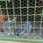 Photo n°4 de l'avis de Ka.d fait le 03/10/2023 à 16:52 sur le  Ferienwohnungen & Café Wastelbauerhof Bernau am Chiemsee à Bernau am Chiemsee