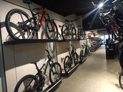 Crankset Bicycle Shop (Trek Del Valle)