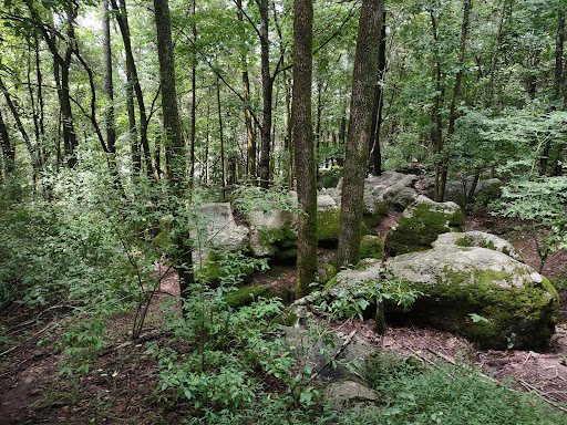 Campground «Defeated Creek Campground», reviews and photos, 140 Marina Ln, Defeated, TN 37030, USA