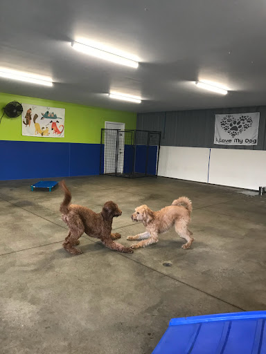 Pet Store «Happy, Clean and Smart», reviews and photos, 5700 W Kilgore Ave, Muncie, IN 47304, USA