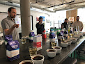 Coffee courses Chicago