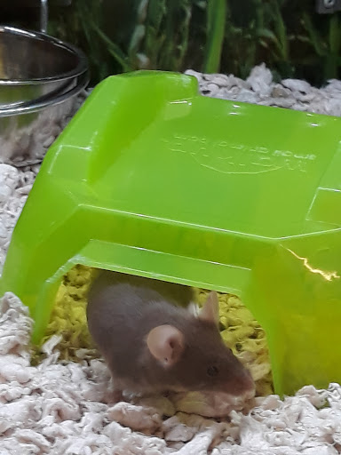 Pet Supply Store «Petco Animal Supplies», reviews and photos, 2575 Fairview Ave N, Roseville, MN 55113, USA