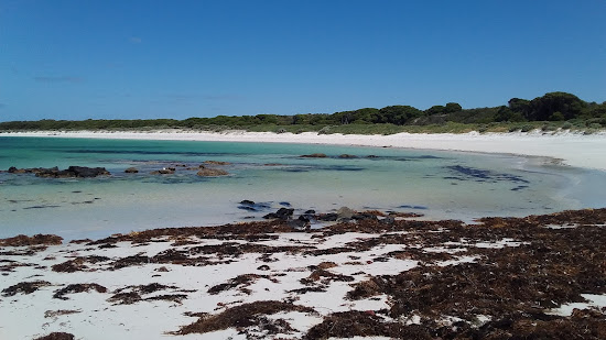 Mason Beach