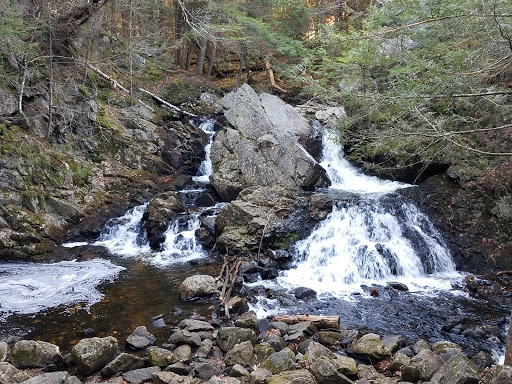 Bears Den Trail Head