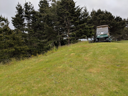 Golf Course «Ocean Dunes Golf Links», reviews and photos, 3345 Munsel Lake Rd, Florence, OR 97439, USA